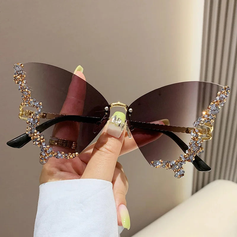 Papillon ✧ ICTA° × KML™