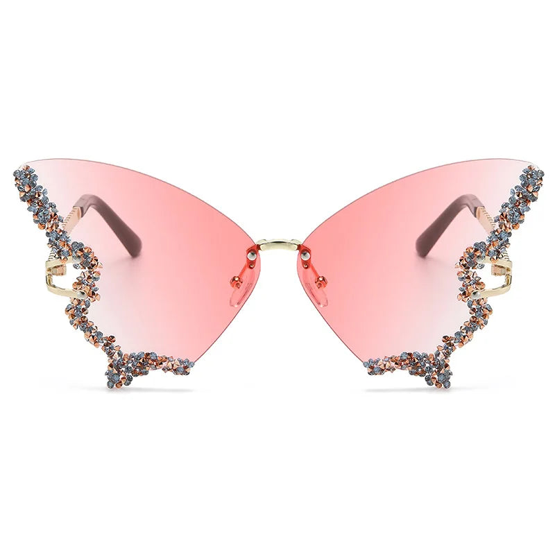 Papillon ✧ ICTA° × KML™