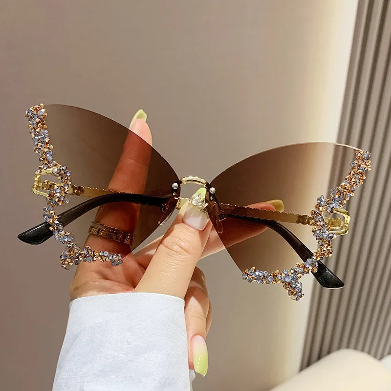 Papillon ✧ ICTA° × KML™