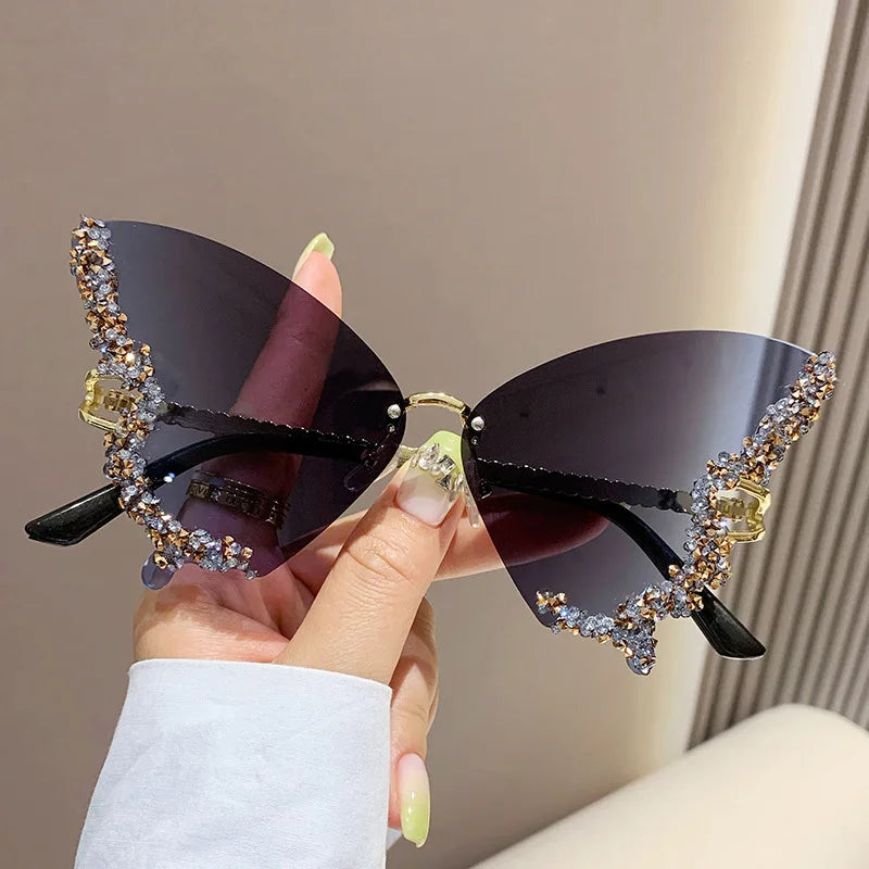 Papillon ✧ ICTA° × KML™