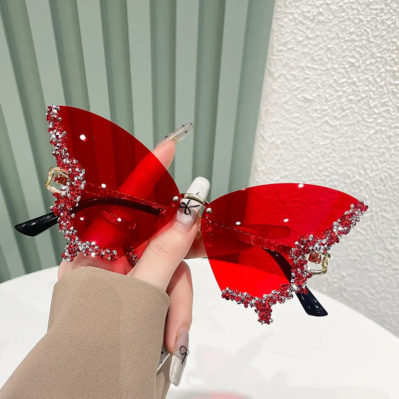 Papillon ✧ ICTA° × KML™