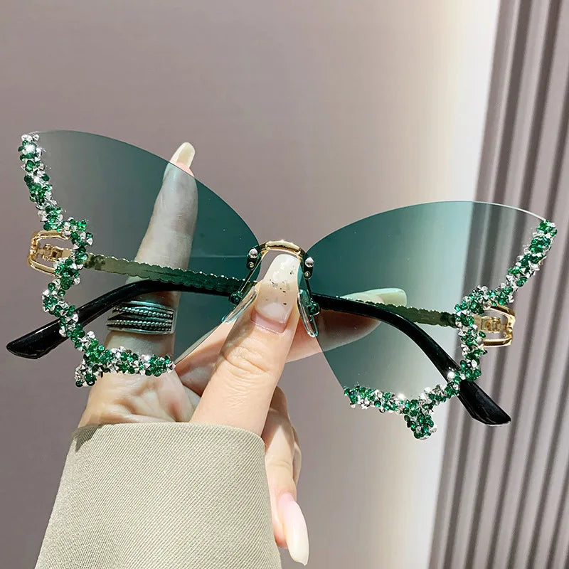 Papillon ✧ ICTA° × KML™