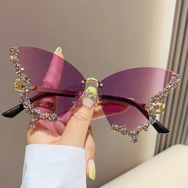 Papillon ✧ ICTA° × KML™