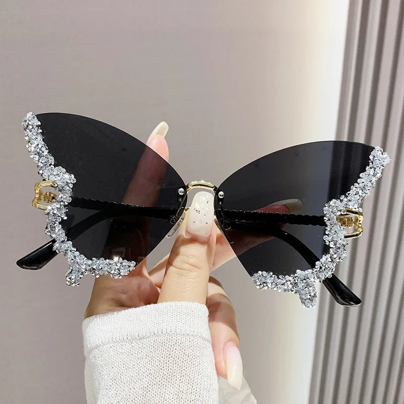 Papillon ✧ ICTA° × KML™