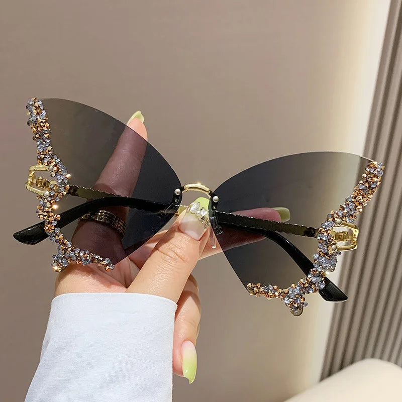 Papillon ✧ ICTA° × KML™
