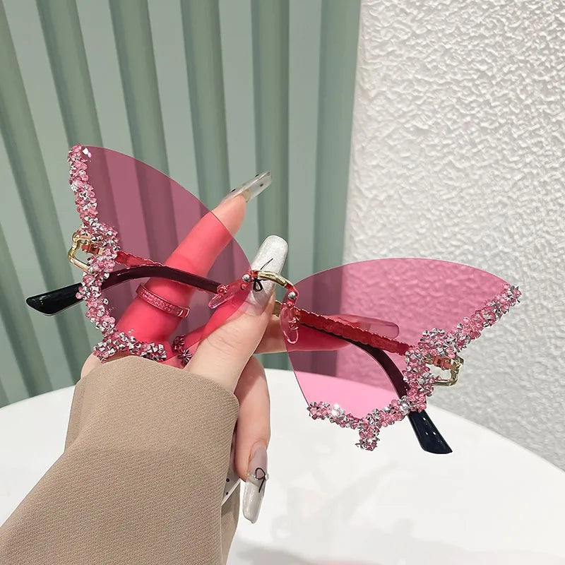 Papillon ✧ ICTA° × KML™