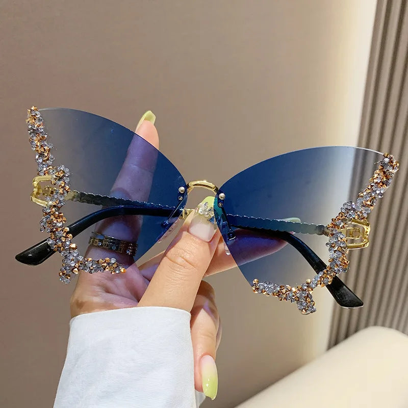 Papillon ✧ ICTA° × KML™