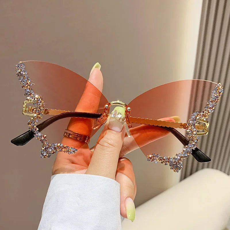 Papillon ✧ ICTA° × KML™