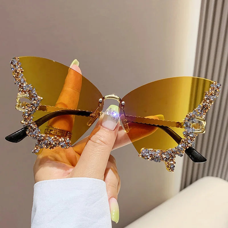 Papillon ✧ ICTA° × KML™